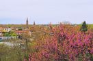 Vue printanière sur Montauban de Jifasch32