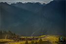 Berggottesdienst im Kleinwalsertal von Katrin Taepke