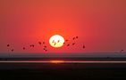 Sonnenuntergang in Westerhever von Rüdiger Ulrich