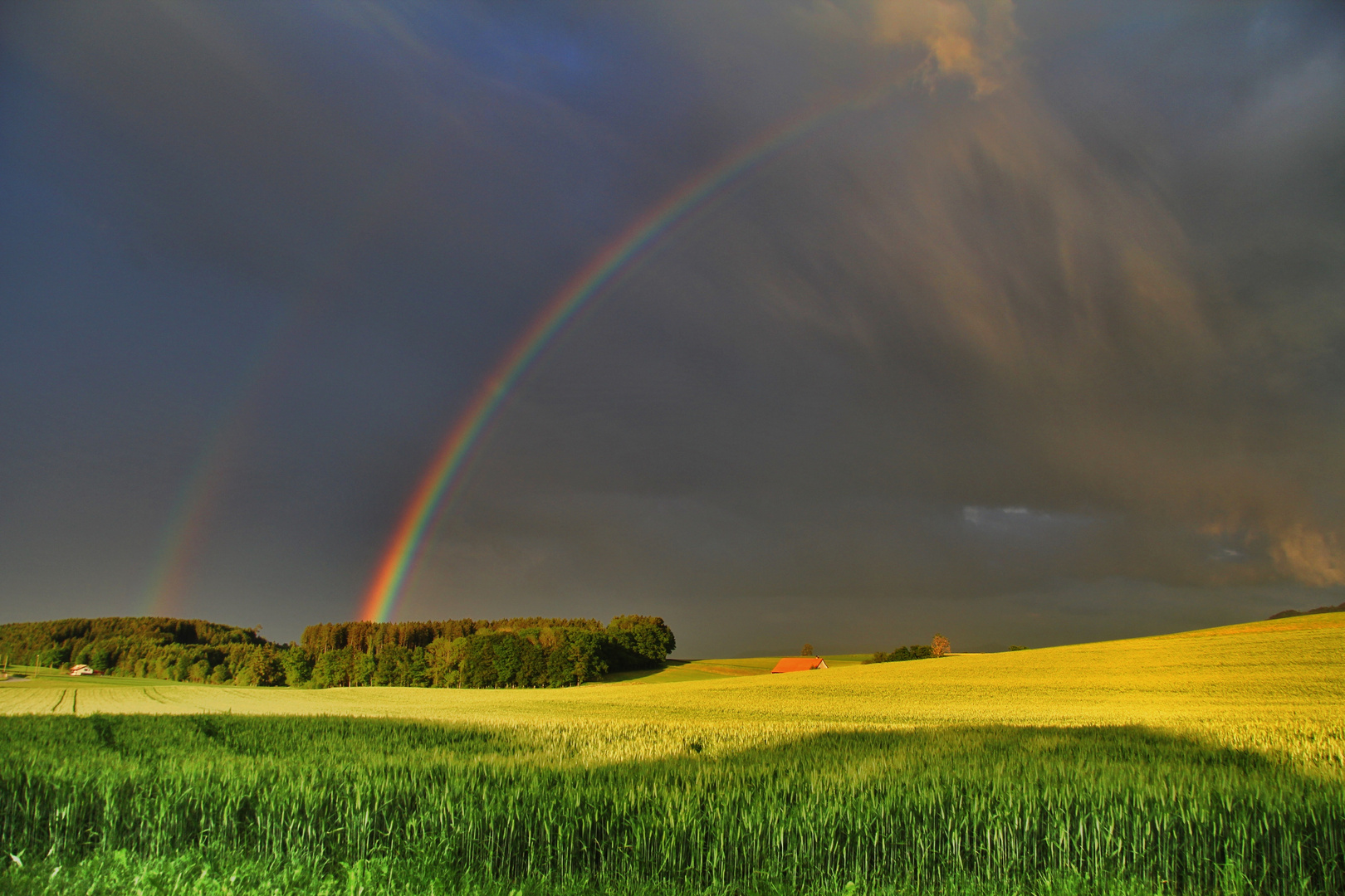 Be a rainbow in someone else's cloud