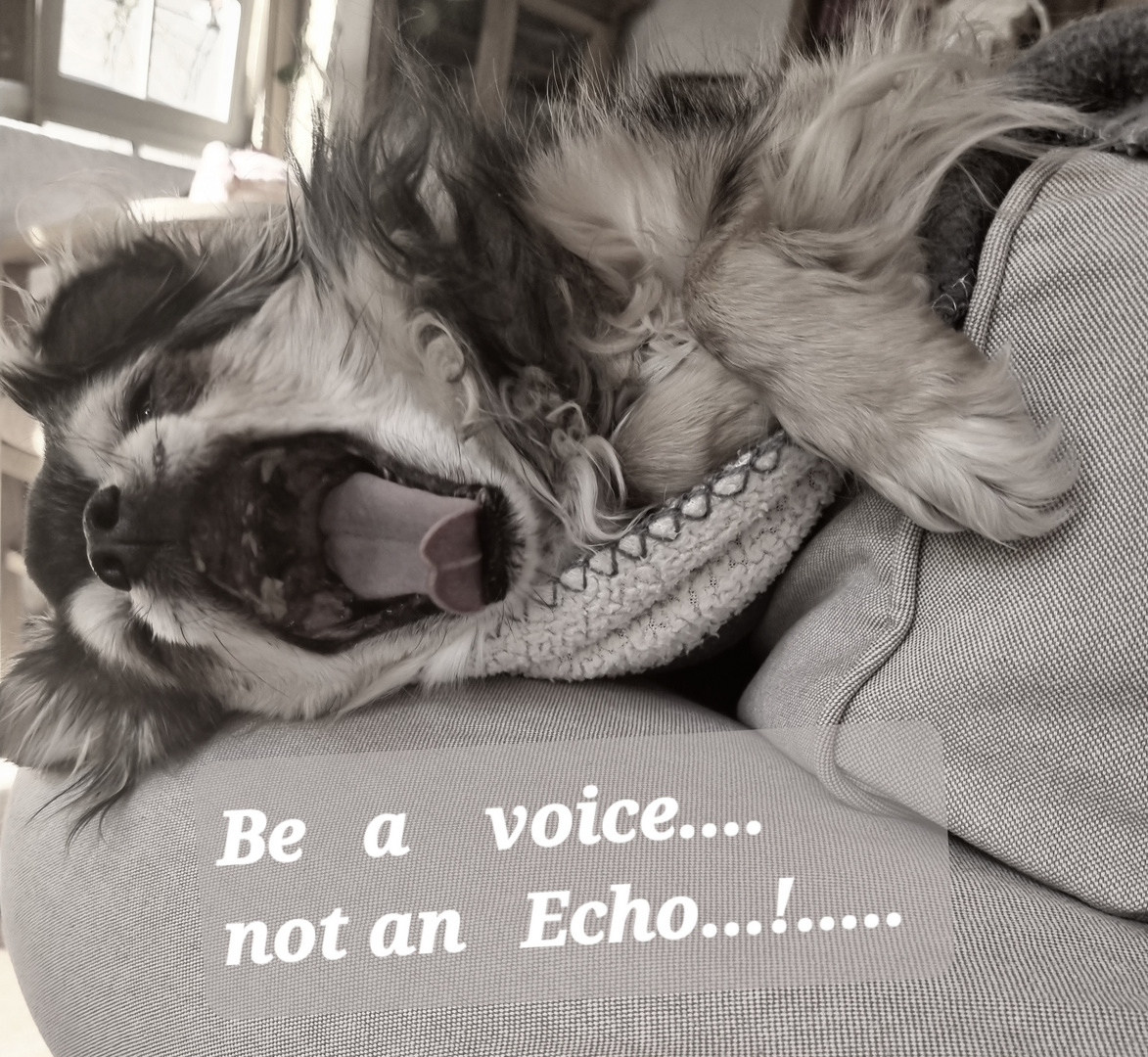 be a voice....