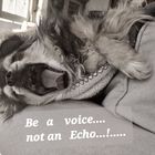 be a voice....