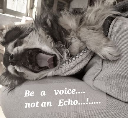 be a voice....
