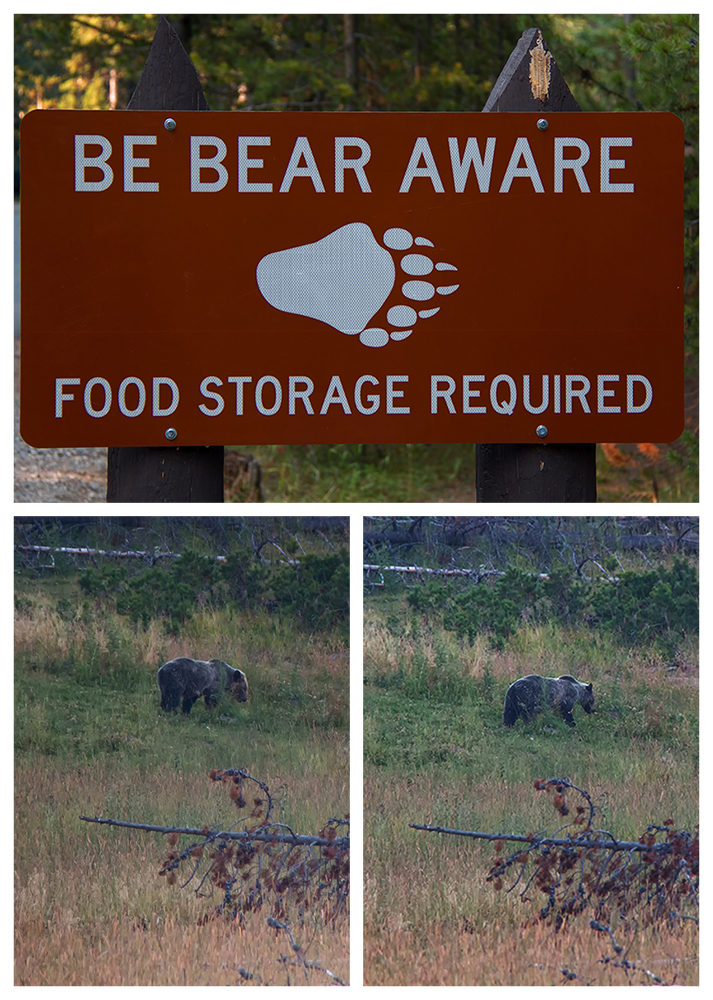 Be Bear Aware