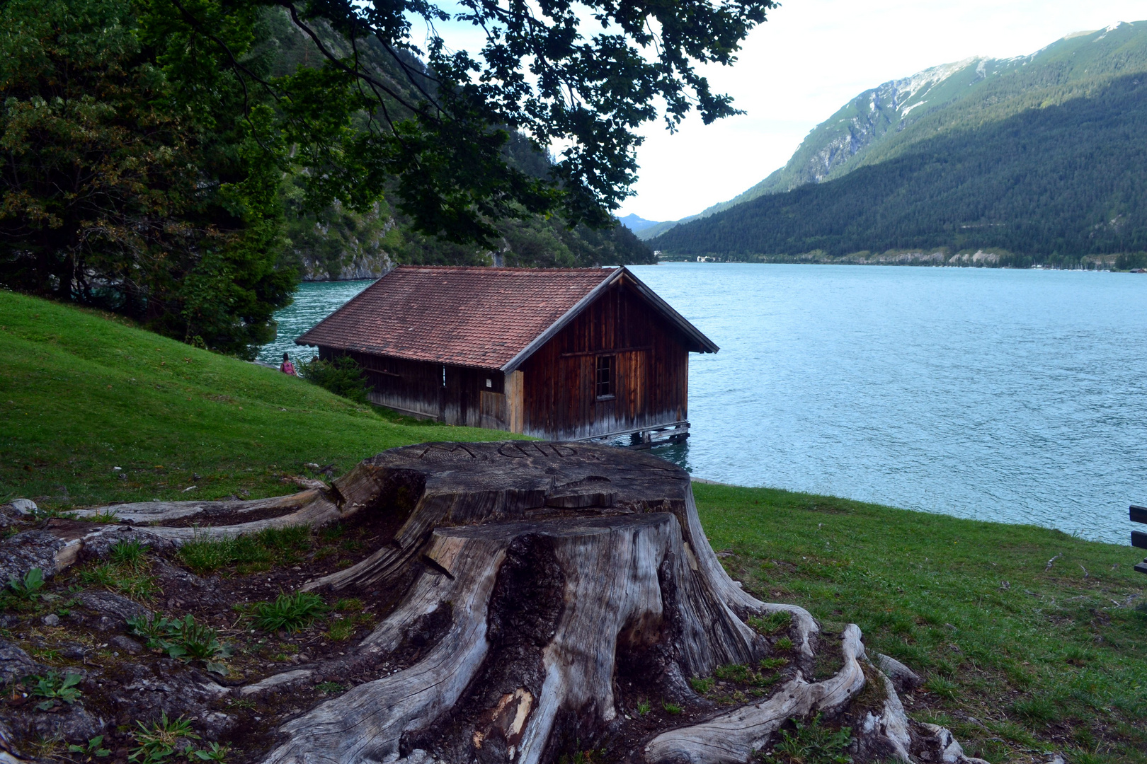 Be der schönen Gaisalm am Achensee