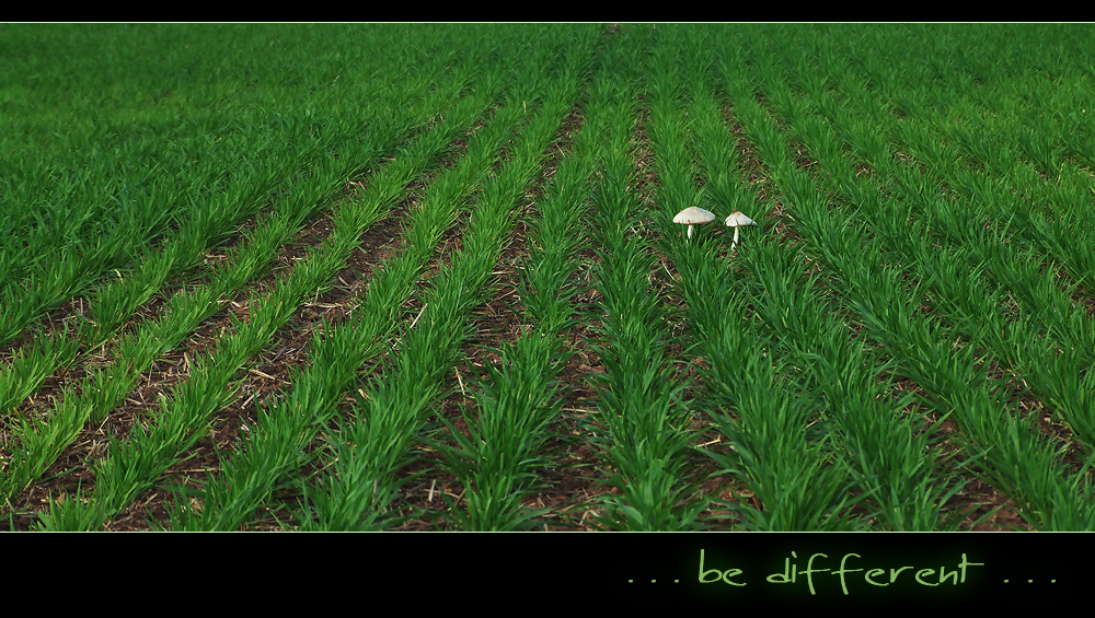 Be Different 01