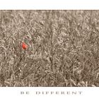 BE DIFFERENT