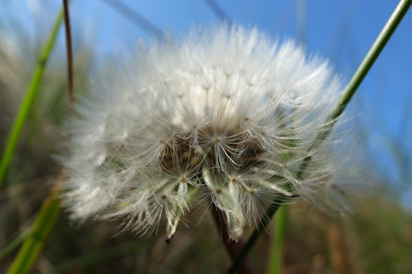 be flauschig !