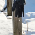 Be grozen glove