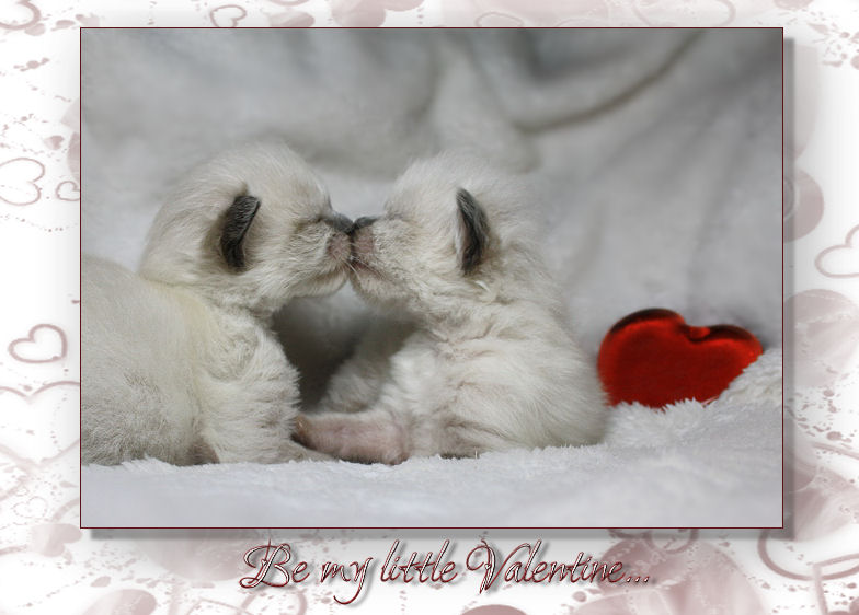 Be my little Valentine