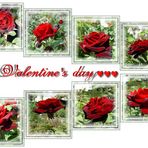 Be my Valentine....................