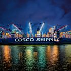 Be- und Entladen eines Containerschiffes im Hamburger Hafen