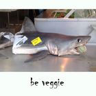 be veggie