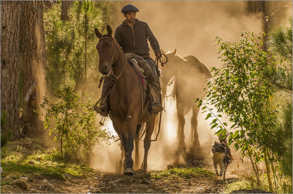 A gaucho returns von artclassics de