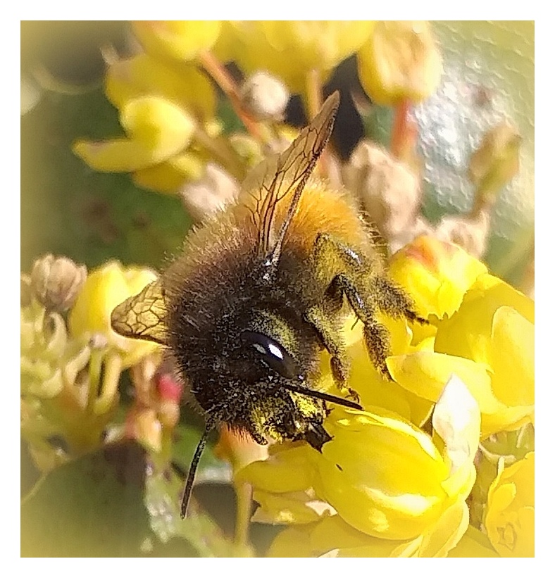 photo et image macro nature macros nature Images photo et image macro nature macros nature Images
