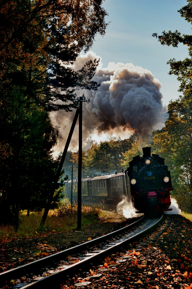 BEA 99 608 auf dem Weg nach Putbus