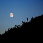 BEA: Der Mond ist aufgegangen von Dondidi