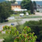 BEA: Versuch eines Bokeh-Fotos von Bibbo