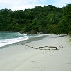 Beach and Jungle