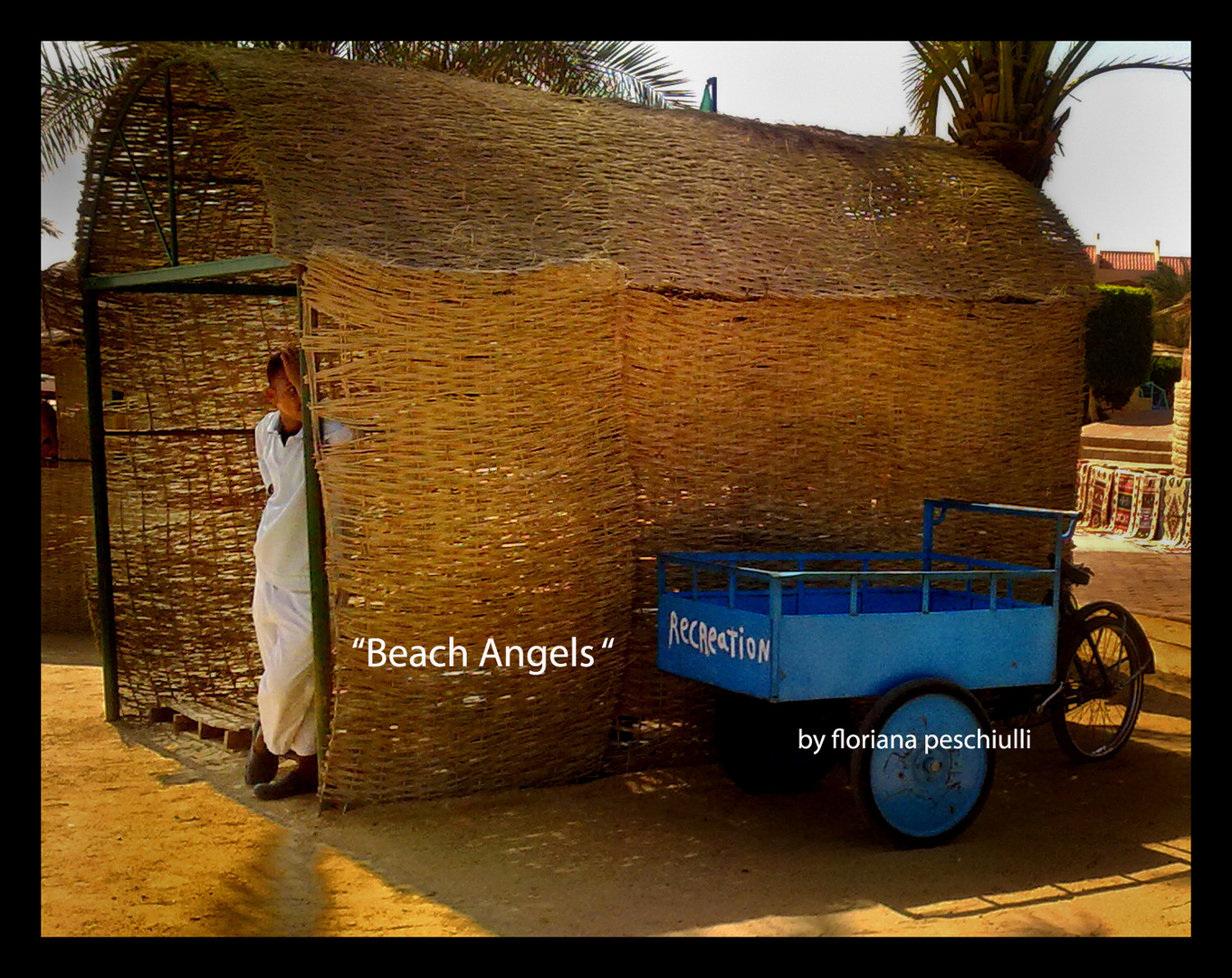 beach angels