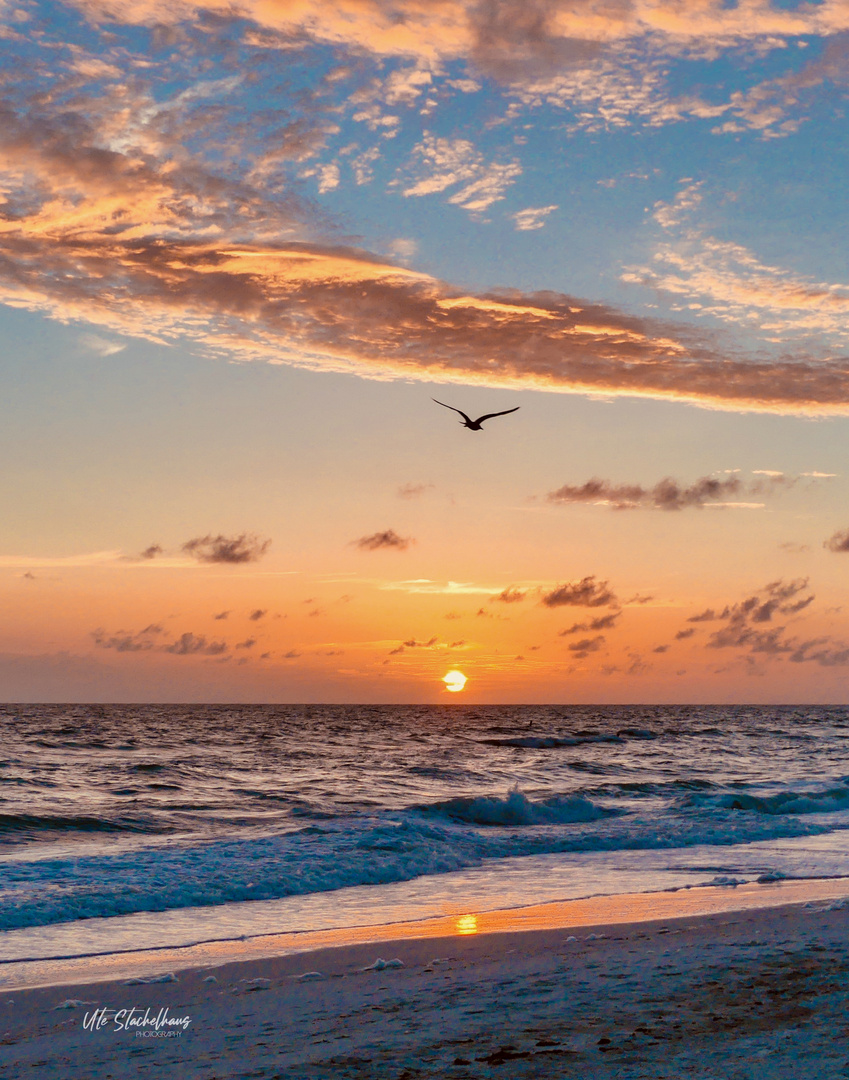 Beach Anna Maria Island