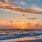 Beach Anna Maria Island