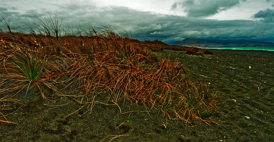 ... beach at Akaroa ...