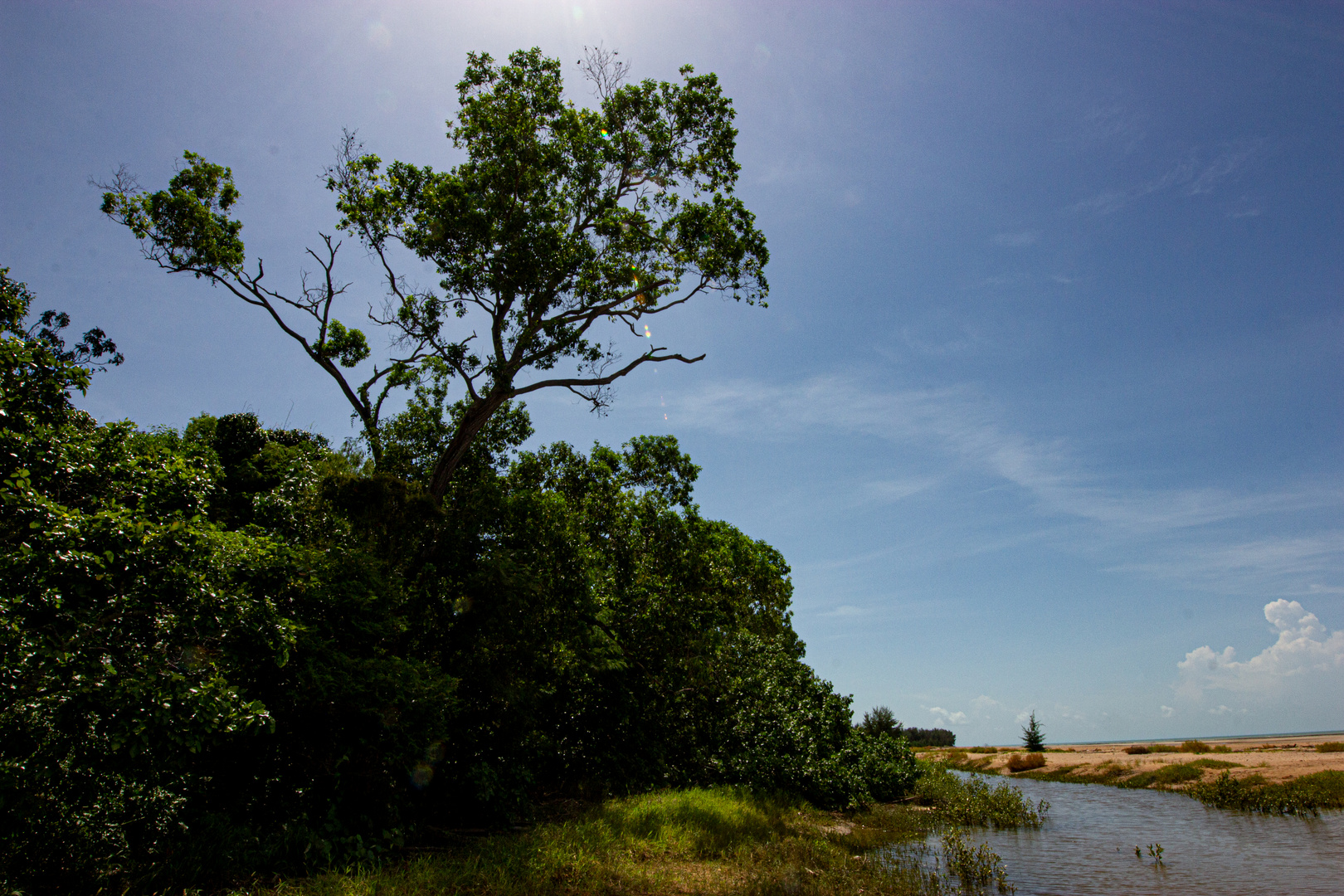 Beach at Buffalo Creek