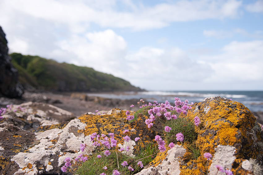 Beach at Culzean Castle