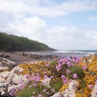 Beach at Culzean Castle