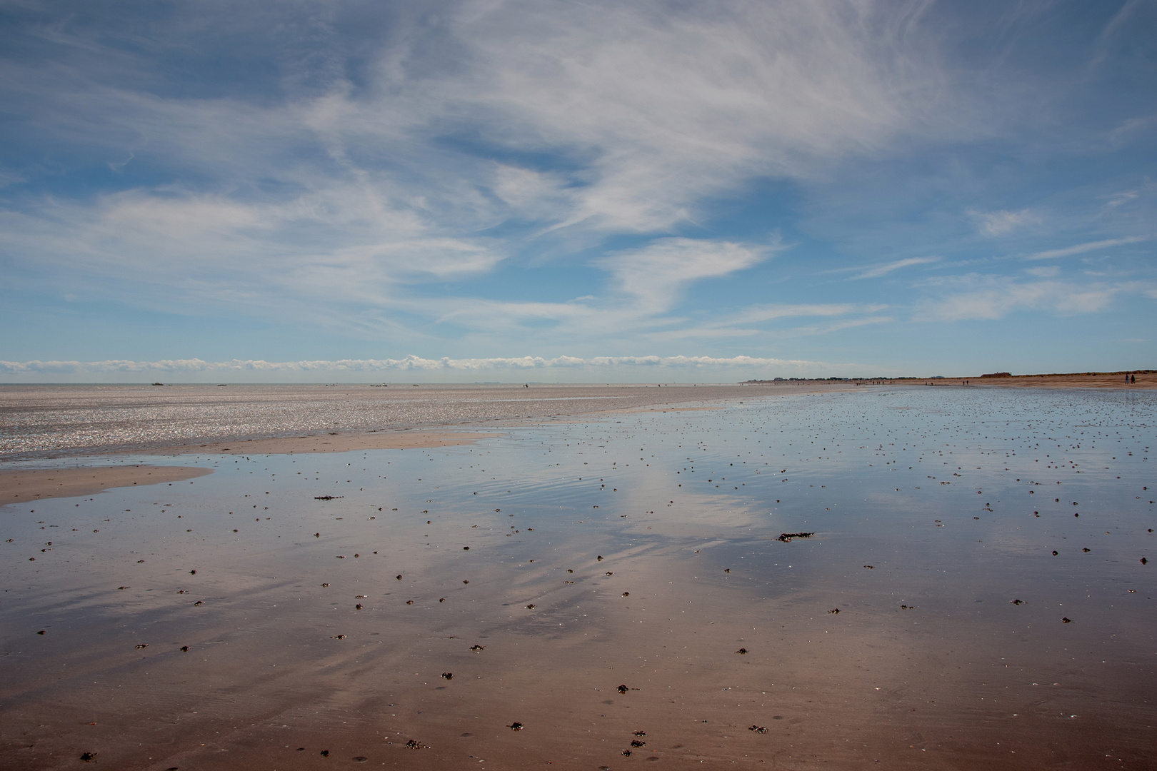 Beach at low tide