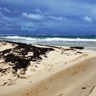 Beach at Punta de Maisí