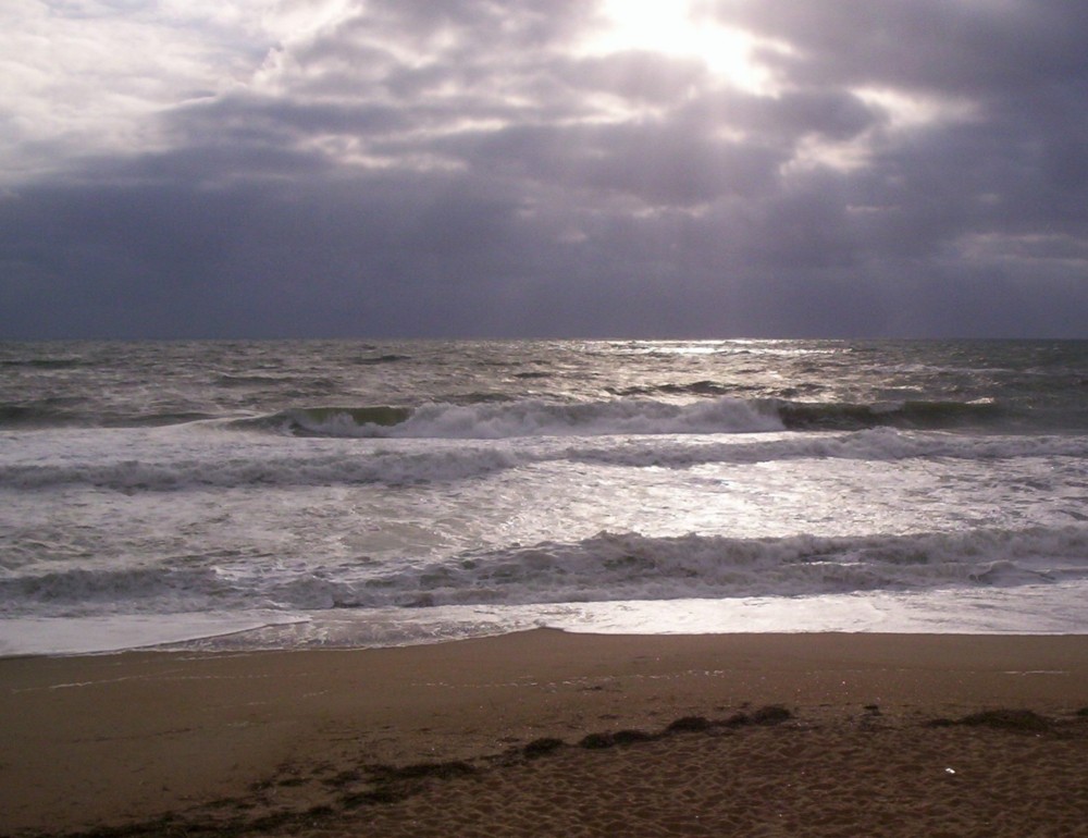 Beach at Sunrise