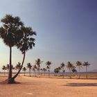 Beach at the dam bank