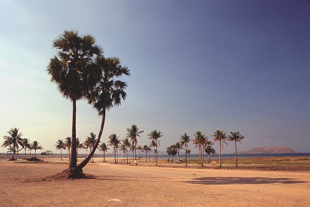 Beach at the dam bank