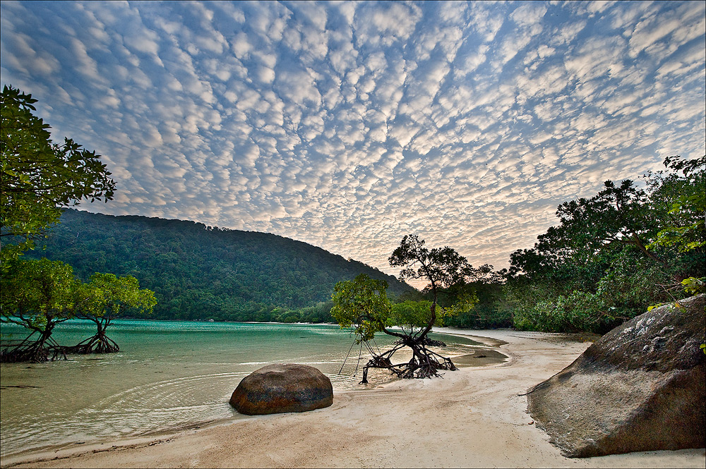 Beach auf Ko Surin