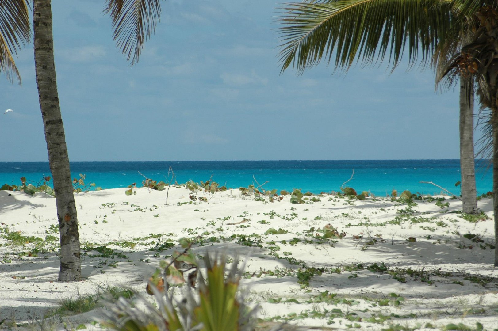 Beach auf Varadero Kuba