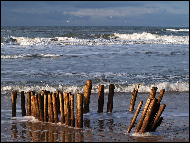 | beach barrier 3 |