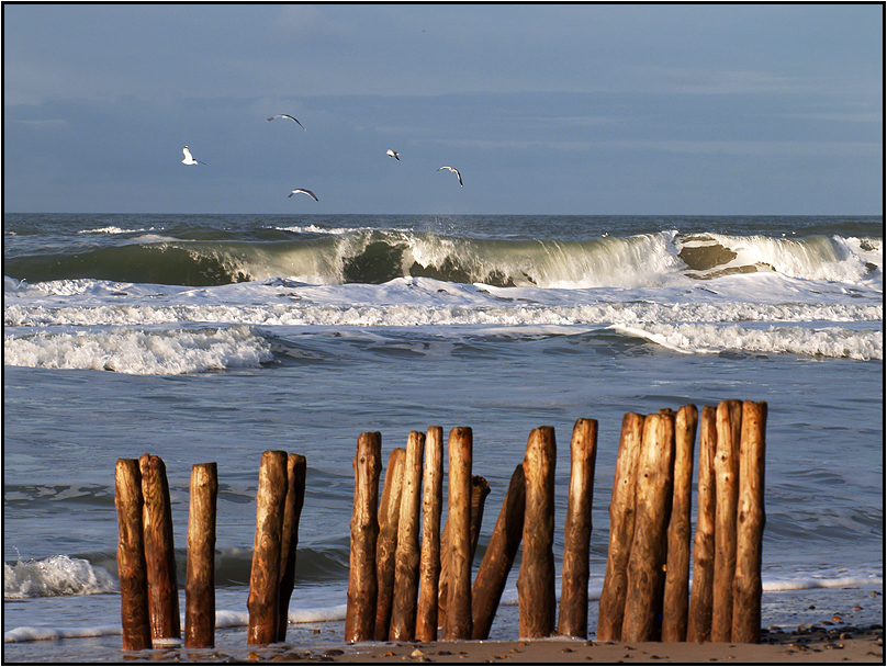 | beach barrier |