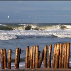 | beach barrier |