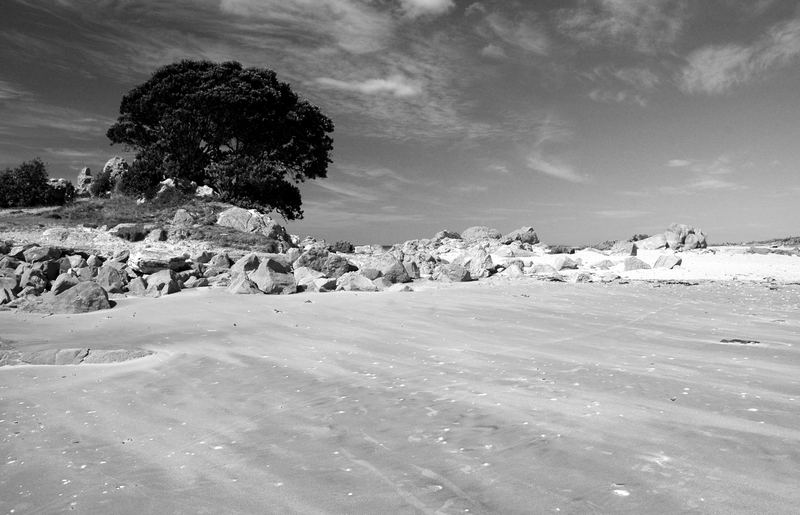 Beach Bay Of Plenty