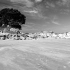 Beach Bay Of Plenty