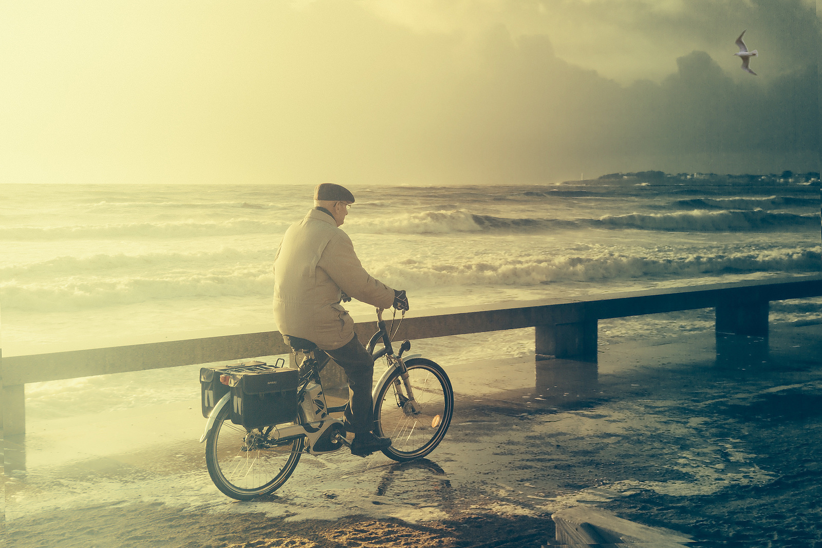 Beach Biker