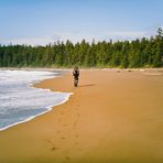 Beach Boogie - West Coast Trail - Vancouver Island - British Columbia - Kanada