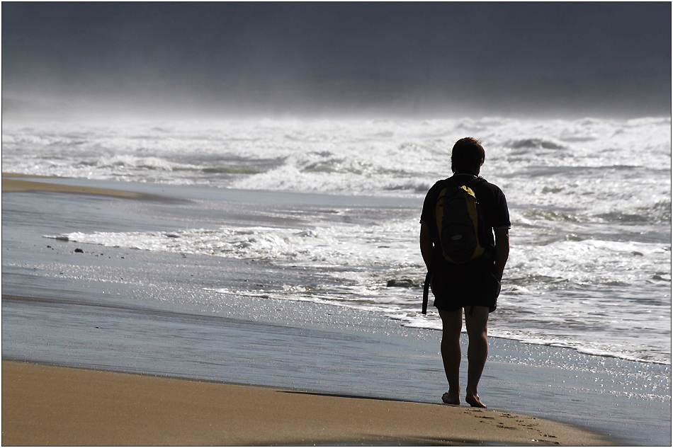 Beach Boy...