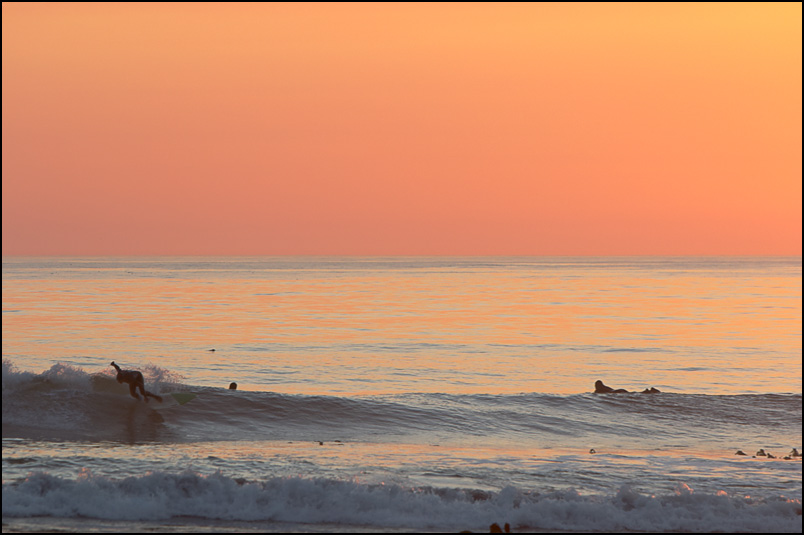 Beach boys