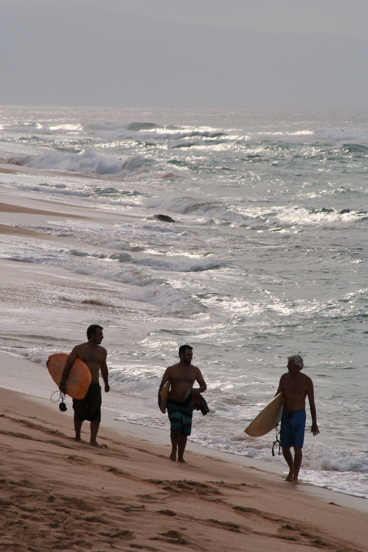 Beach "boys"