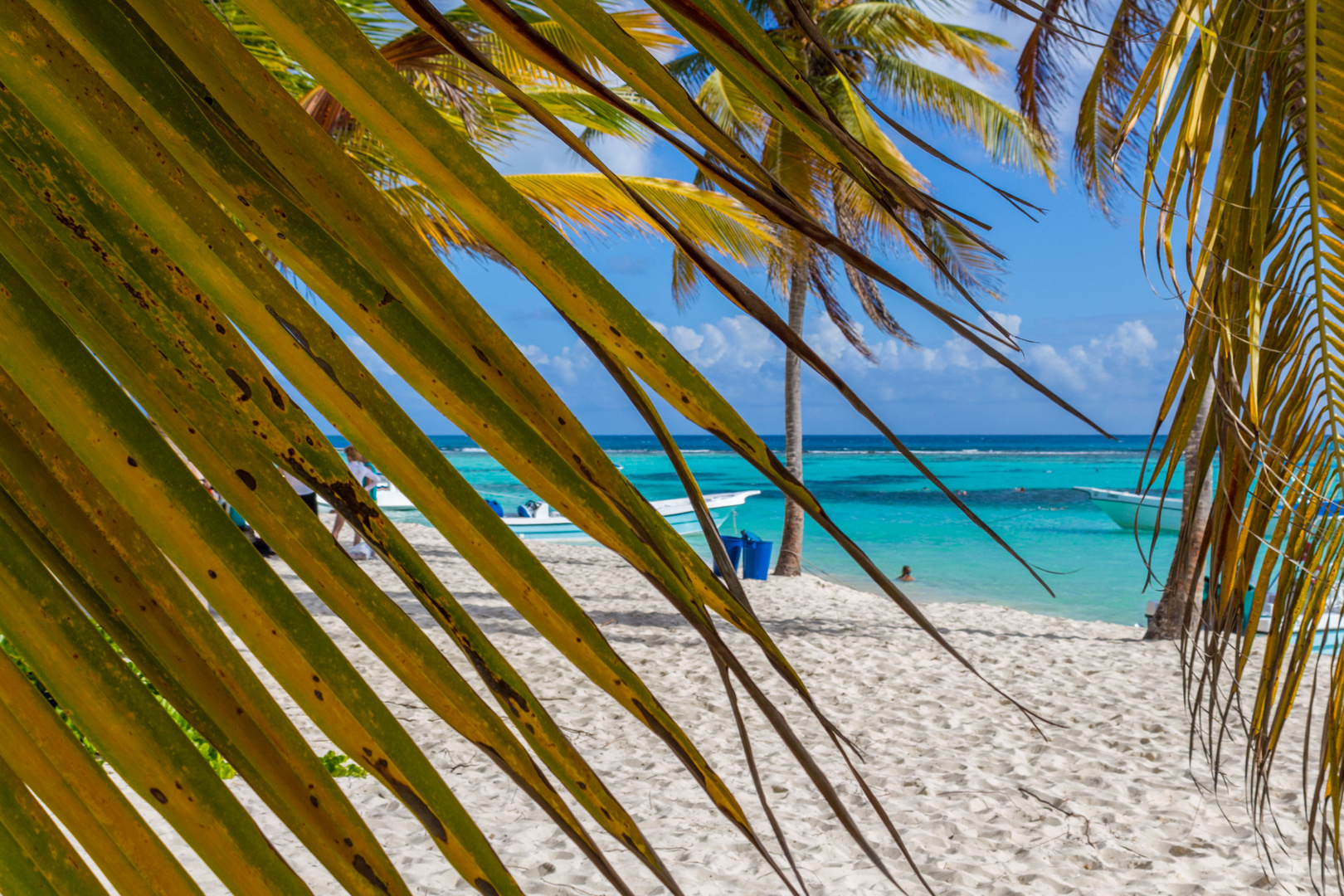 Beach Canto de la Playa - Saona