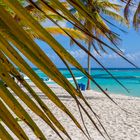 Beach Canto de la Playa - Saona