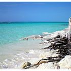 Beach - Cayo Largo Del Sur